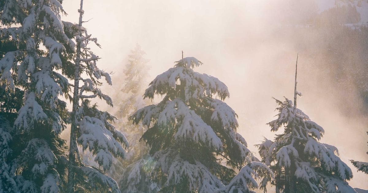 Spline 3D 網頁互動動畫設計入門教學：零程式碼打造驚艷 3D 互動體驗